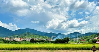 青春为中国式现代化挺膺担当｜商学院基层服务践行团赴洛江区白洋村开展暑期“三下乡”社会实践活动
