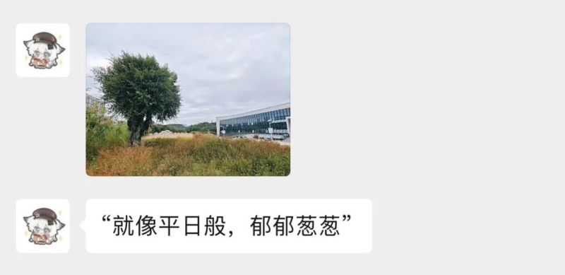 商院拾趣｜终哨响，青春“迷彩章”