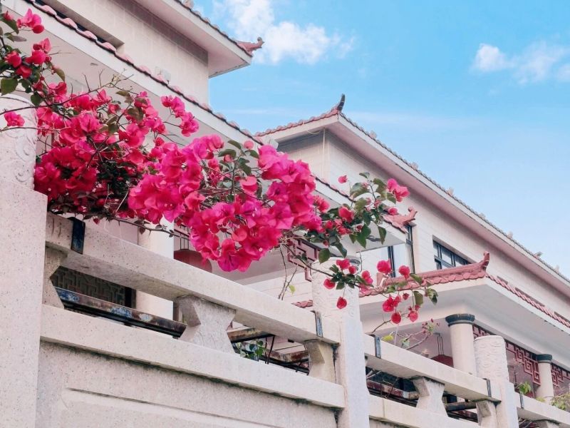 春日限定｜繁花竞开，赴一场校园之约